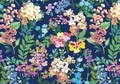 Cover: Meadow Blossoms Note Cards (14 Cards, 15 Self-Sealing Envelopes) - Peter Pauper Press