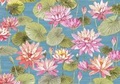 Cover: Water Lilies Note Cards (14 Cards, 15 Self-Sealing Envelopes) - Peter Pauper Press