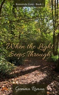 Cover: When the Light Seeps Through - New Generation Publishing