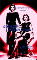 Cover: Domestic Instruction - Mr Stephen Glover