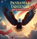 Cover: Pandhandle indigenous - Drop from Eden