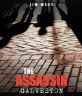 Cover: The Assassin Galveston - NY Book Publishers