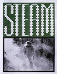 Enlarge image Cover: Steam - The Bluecoat Press