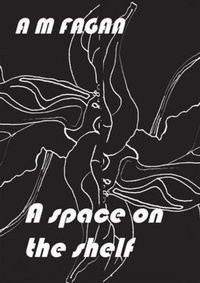 Enlarge image Cover: A space on the shelf - JM Murphy Agency