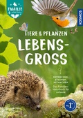Cover: Tiere und Pflanzen lebensgro&szlig; - Kosmos