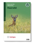 Cover: Haarwild - Heintges Lehr- und Lernsystem GmbH