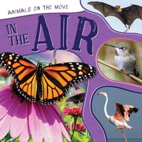 Enlarge image Cover: In the Air - PowerKids Press