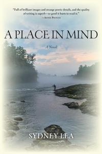 Enlarge image Cover: Place in Mind - Simon + Schuster LLC