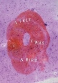 Cover: I Felt I Was a Bird 2025 - Passengers