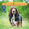 Cover: Basset Hounds - Norwood House Press