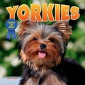 Cover: Yorkies - Norwood House Press
