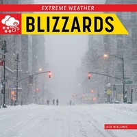 Enlarge image Cover: Blizzards - Norwood House Press