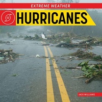 Enlarge image Cover: Hurricanes - Norwood House Press