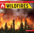 Cover: Wildfires - Norwood House Press