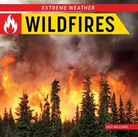 Enlarge image Cover: Wildfires - Norwood House Press