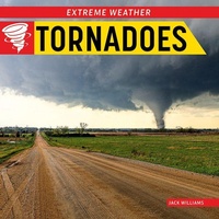 Enlarge image Cover: Tornadoes - Norwood House Press
