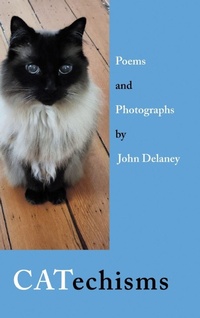 Enlarge image Cover: CATechisms - Finishing Line Press