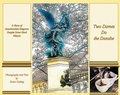 Cover: Two Dames Do the Danube - Echo Hill Arts Press, LLC