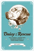 Cover: Daisy to the Rescue - Zest Books