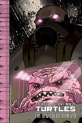 Cover: Teenage Mutant Ninja Turtles: The IDW Collection Volume 10 - Idea & Design Works
