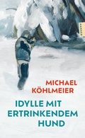 Cover: Idylle mit ertrinkendem Hund - Hanser