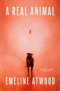 Cover: A Real Animal - Catapult