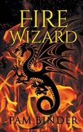 Cover: Fire Wizard - Wild Rose Press