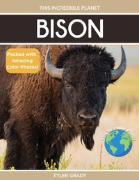 Enlarge image Cover: Bison - Dylanna Publishing, Inc.