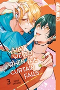 Cover: What We Do When the Curtain Falls, Band 03 - TOKYOPOP GmbH