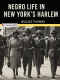 Cover: Negro Life in New York's Harlem - Passerino