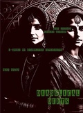 Cover: Diabolical Duets - Mr Stephen Glover