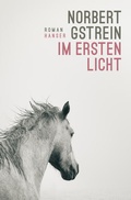 Cover: Im ersten Licht - Hanser