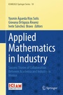 Cover: Applied Mathematics in Industry - Springer