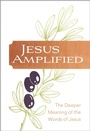 Cover: Jesus Amplified - BroadStreet Publishing Group, LLC