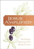 Cover: Jesus Amplified - BroadStreet Publishing Group, LLC
