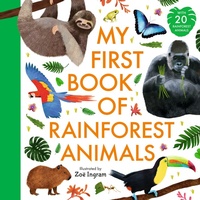 Enlarge image Cover: My First Book of Rainforest Animals - Walker Books Ltd