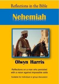 Enlarge image Cover: Nehemiah - Reading Stones Publishing