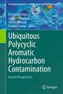 Cover: Ubiquitous Polycyclic Aromatic Hydrocarbon Contamination - Springer