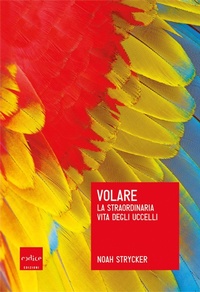 Enlarge image Cover: Volare - Codice Edizioni