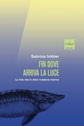 Cover: Fin dove arriva la luce - Codice Edizioni