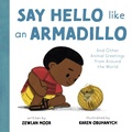 Cover: Say Hello Like an Armadillo - NOSY CROW