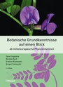 Bild: Botanische Grundkenntnisse auf einen Blick - Haupt Verlag