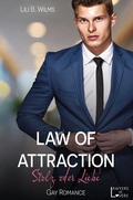 Cover: Law of Attraction - Tolino Media