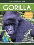 Cover: Gorilla - Dylanna Publishing, Inc.