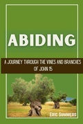 Cover: Abiding - Truly Salty