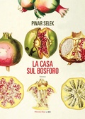 Cover: La casa sul bosforo - Fandango Libri