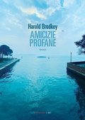 Cover: Amicizie profane - Fandango Libri