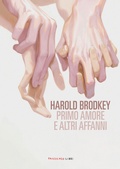 Cover: Primo amore e altri affanni, N.E. - Fandango Libri