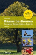 Bild: B&auml;ume bestimmen - Knospen, Bl&uuml;ten, Bl&auml;tter, Fr&uuml;chte - Haupt Verlag