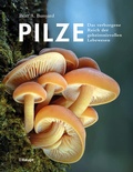 Bild: Pilze - Haupt Verlag